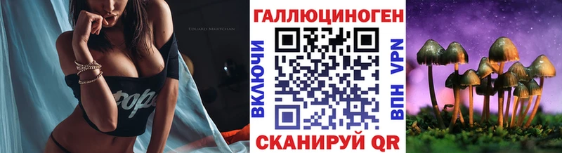 Купить Суровикино Псилоцибиновые грибы мухоморы